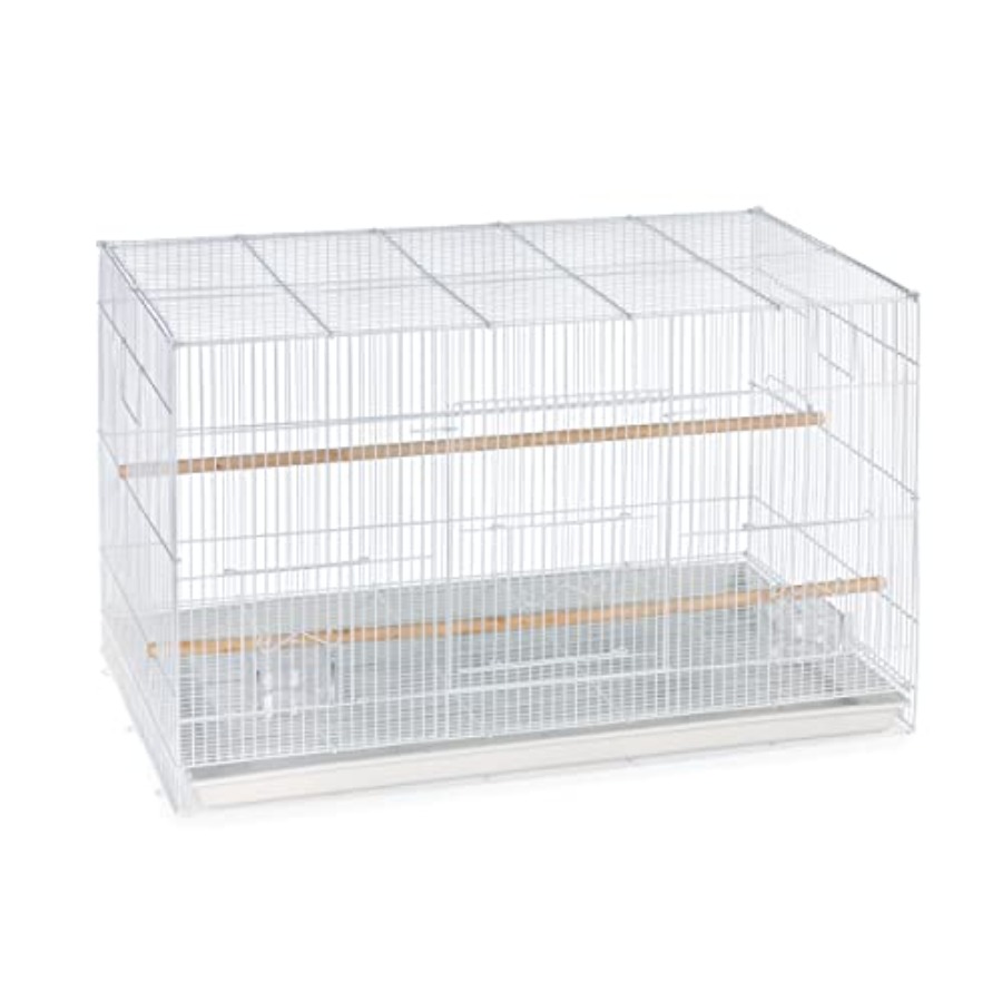 Flight Cage for Multi-Bird Hom - Interior Design And Construction recensione e prezzo