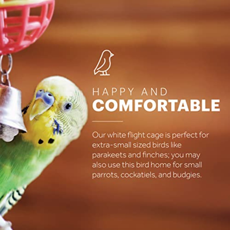 Flight Cage for Multi-Bird Hom - Interior Design And Construction recensione e prezzo