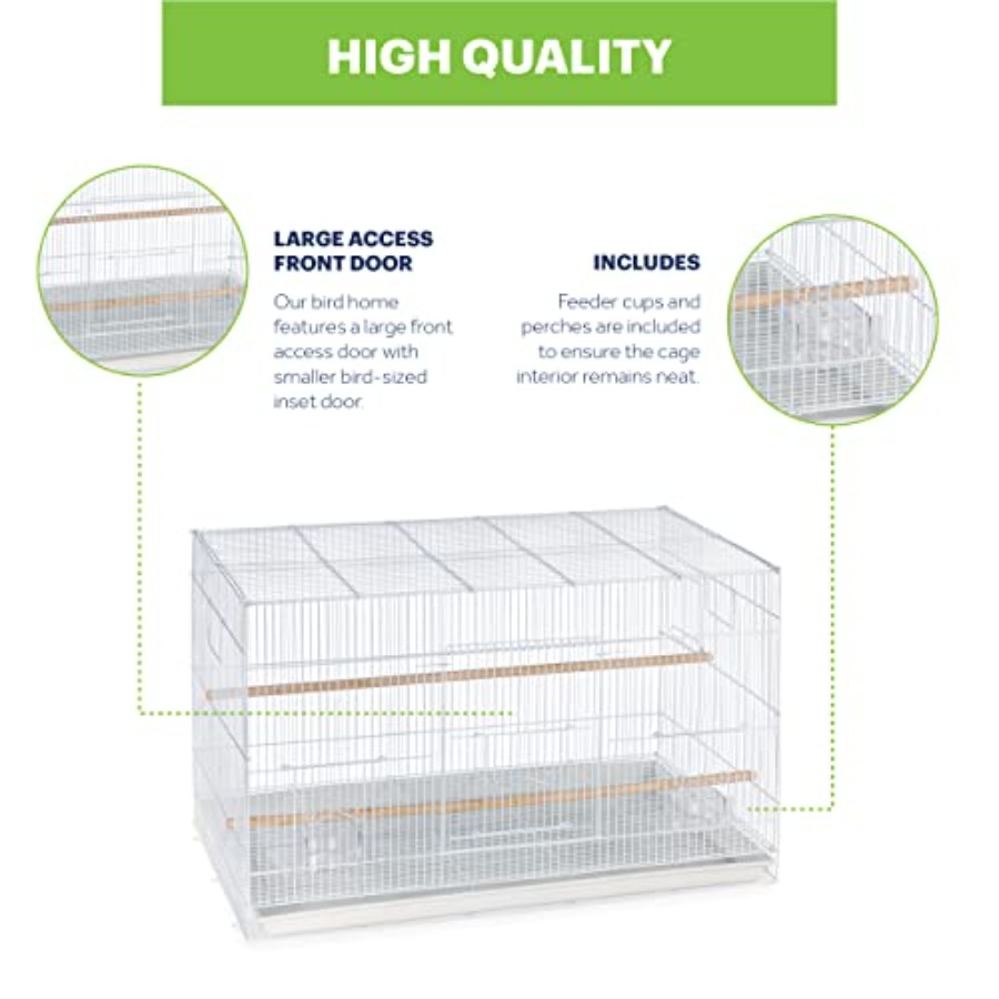 Flight Cage for Multi-Bird Hom - Interior Design And Construction recensione e prezzo