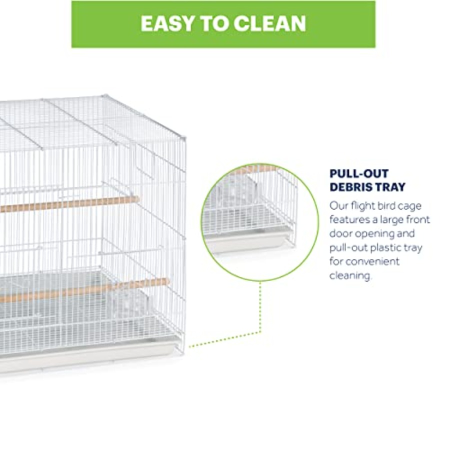Flight Cage for Multi-Bird Hom - Interior Design And Construction recensione e prezzo