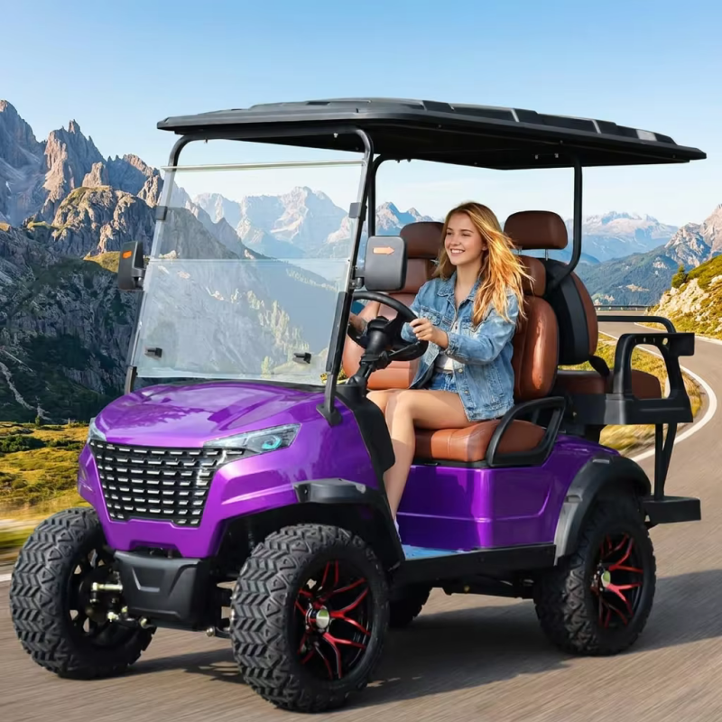Lifted Lithium Battery 4 Seate - Interior Design And Construction recensione e prezzo